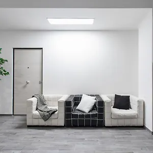 Affittacamere Olimpia House, Bologna